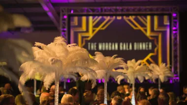 Proffesional AV screen and dinner